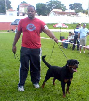 Fart from House Rotvis (Morro vd Scherau + Unique RG Alegranda) - champion class winner, Best male, Best of Breed. We congratulate the owner of Fart - ANDERSON MOMESSO with getting title of Fart - ABSOLUTE CHAMPIONIS APRO - SAO PAULO ASSOCIATION Of the ROTTWEILER) ! 