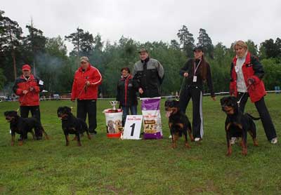 "from House Rotvis" -    !!